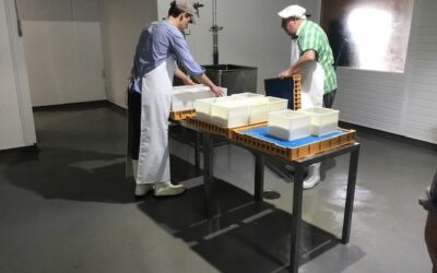 Food Grade Anti-Slip Flooring – The Key To A Safer Working Environment